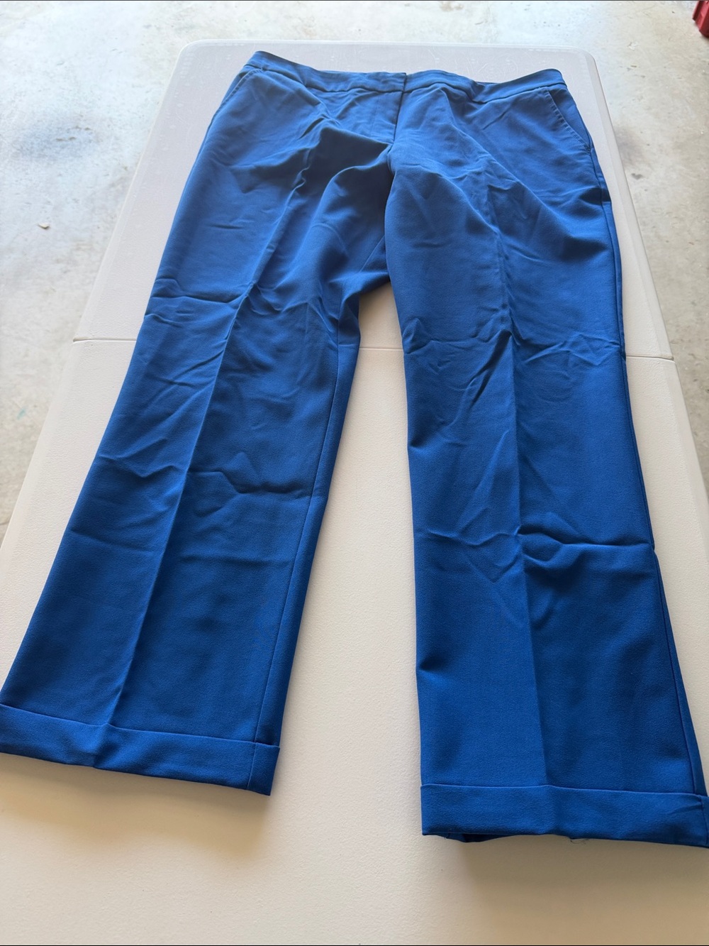 Woman’s Worthington Blue ankle length Pants - Size 12